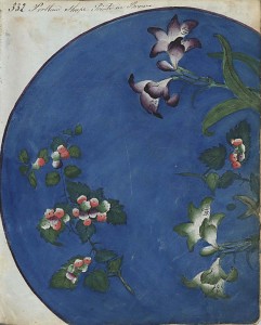 Document 540- Winterthur Library Revealed